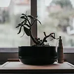 F3 Charmant Neuf Et Equipe Avec Balcon \